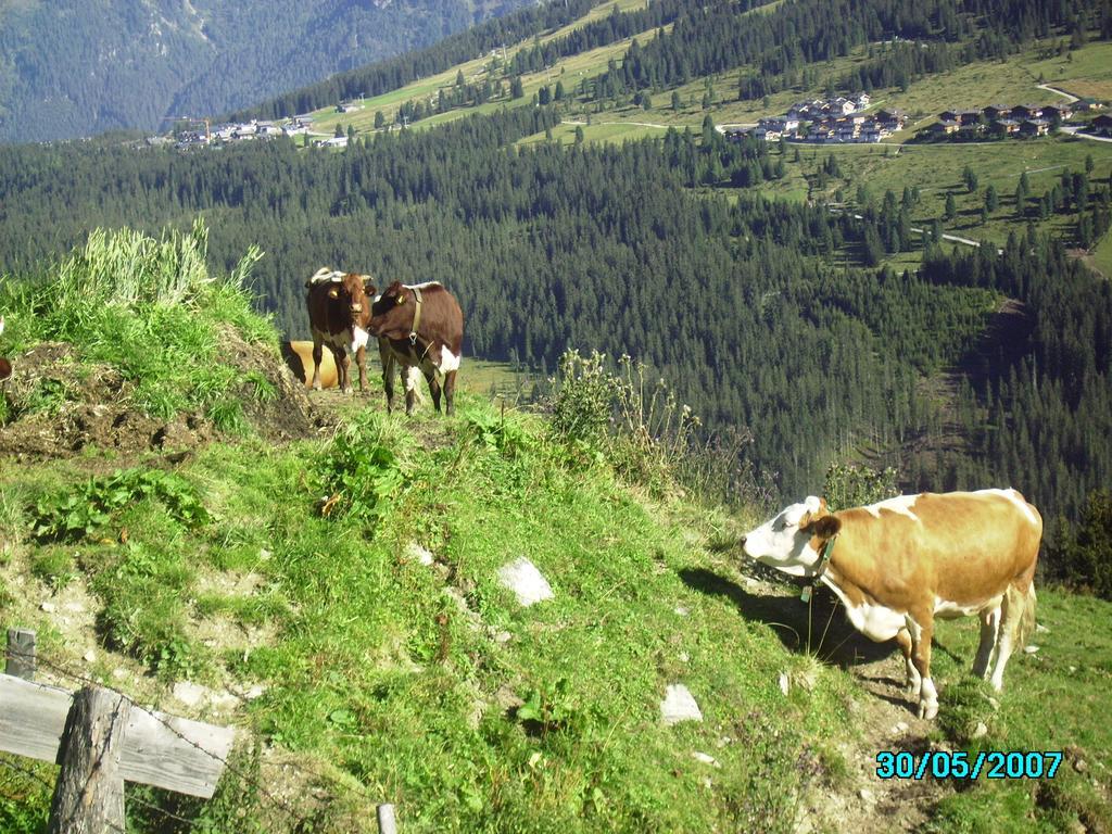 Chalet Anna Appartment Uttendorf Zewnętrze zdjęcie